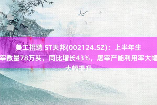 美工招聘 ST天邦(002124.SZ)：上半年生猪屠宰数量78万头，同比增长43%，屠宰产能利用率大幅提升